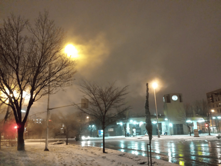 Wordpress scaledQC winter