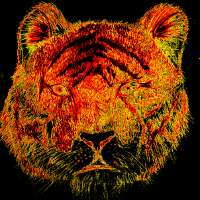 tigre2-200px