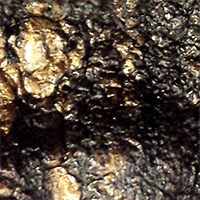 20150110_215442-cropped3-200px