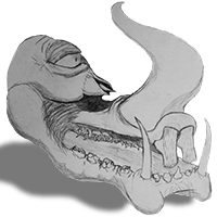 cyclop-w-shadow-200px