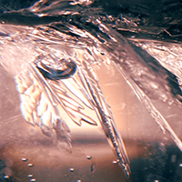 ice-fly200px