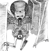 moth-monster-transparency-200px