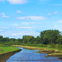 naturev3-200px