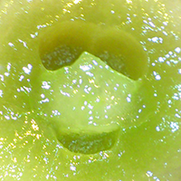 smiley-grape200px